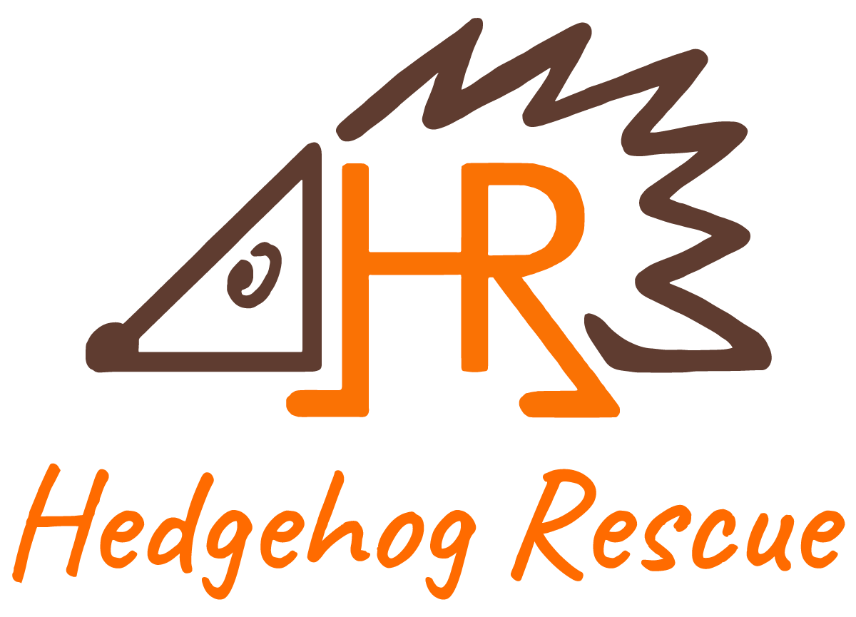 Hedgehog Rescue